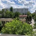 Teiul Doamnei, strada Nada Florilor